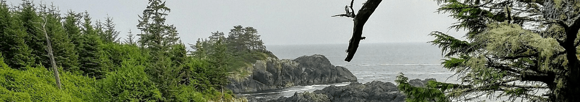 Vancouver Island, Beach