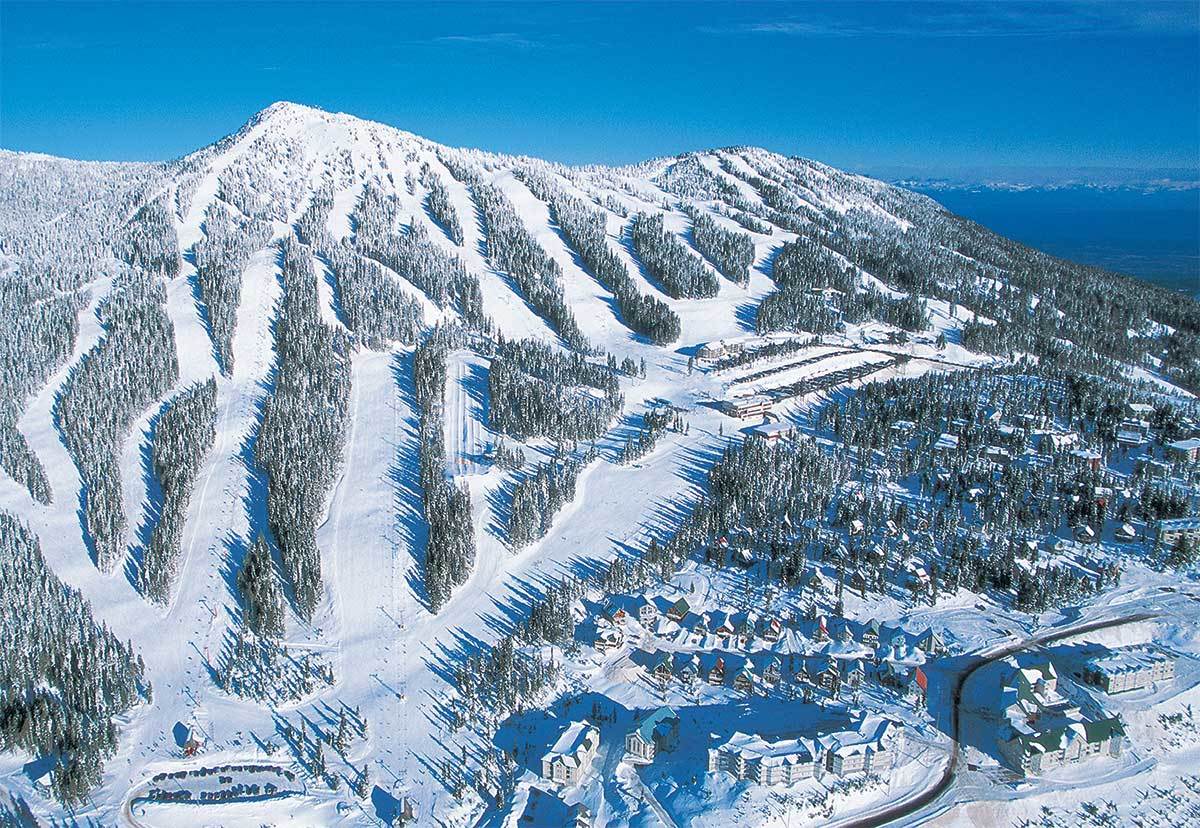 Mount Washington ski resort with fog and trees in the foreground