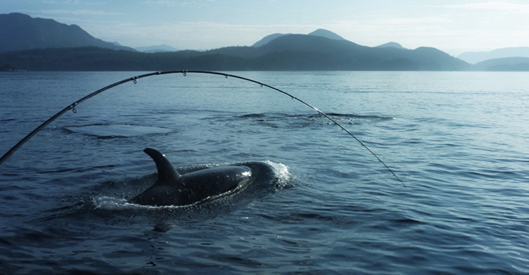 Waterfront homes in Campbell River, Vancouver Island